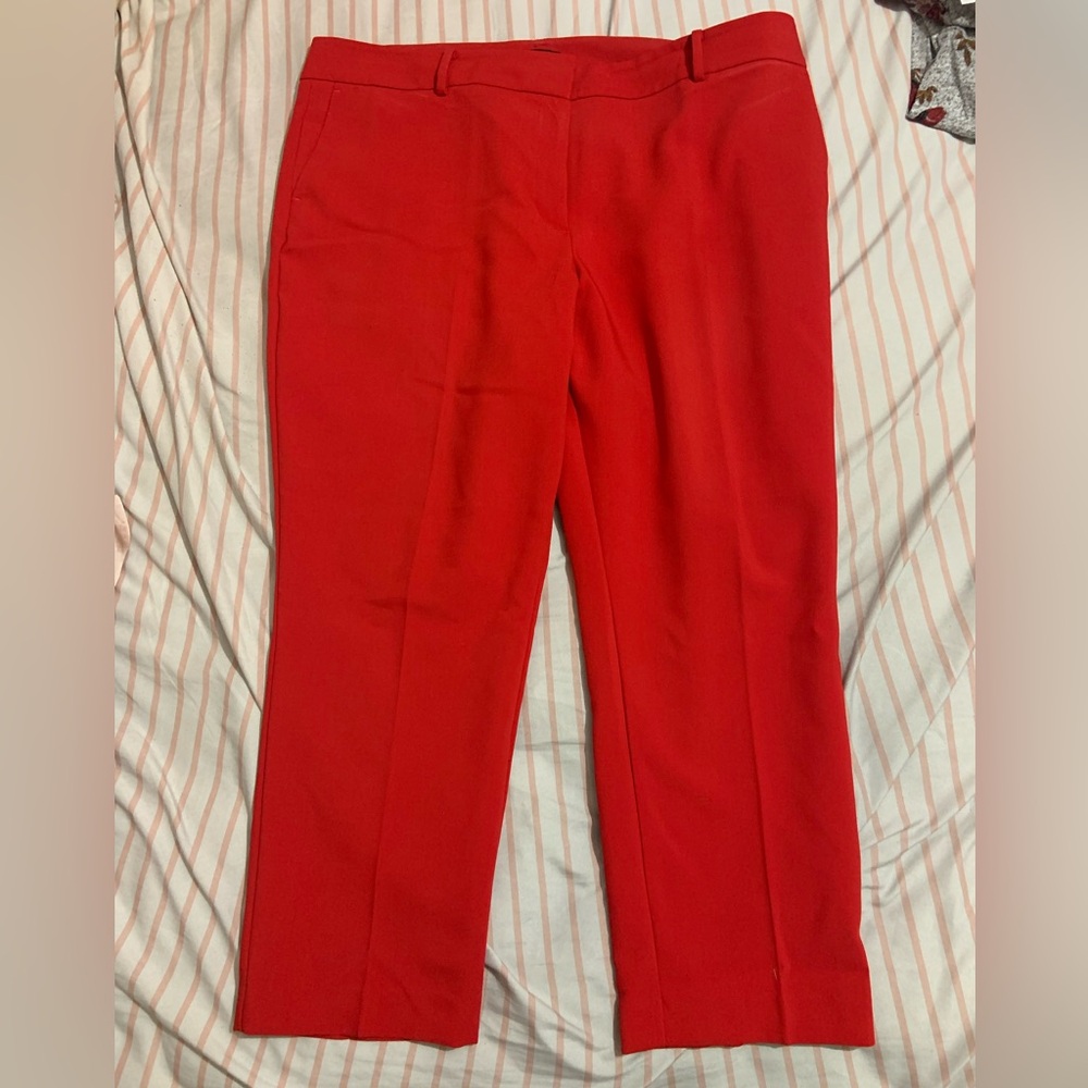 Brand new Ann Taylor Factory dress pants